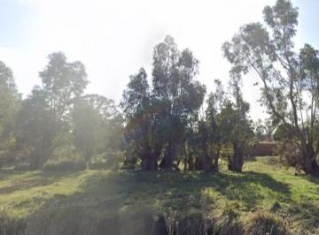 Terreno , Miramar · Terrenos en Miramar