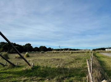 Terreno · 66205m² · Venta Fraccion de 66.000 m² Aprox. Sobre Ruta 11