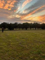 Terreno · 5000m² · Terreno Lote en Venta en Zona Norte, San Miguel de Tucumán, Capital