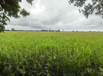 Terreno · 8000m² · 8 Ha en Venta en Madariaga