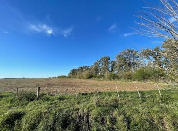 Campo · 80ha · Campo en Venta 80ha Ideal Desarrollo