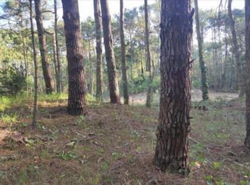 Terreno · 1075m² · Venta Lote en Carilo