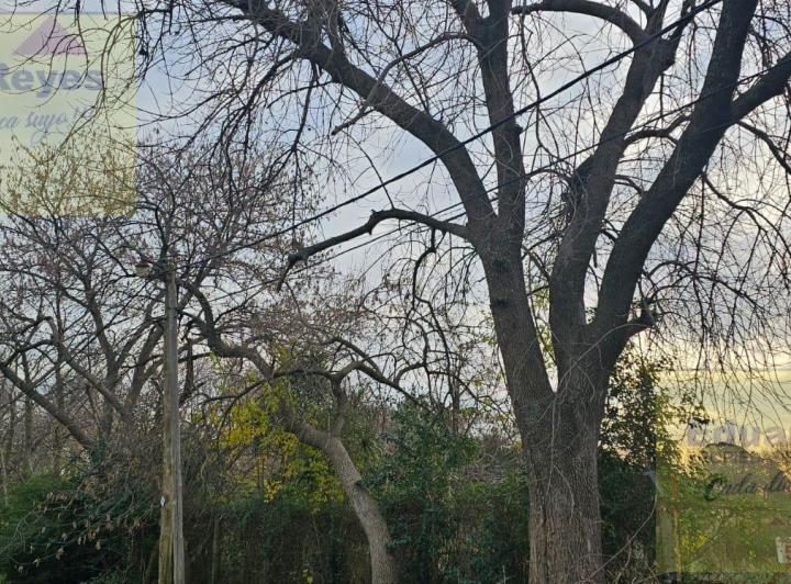 Terreno · 1300m²