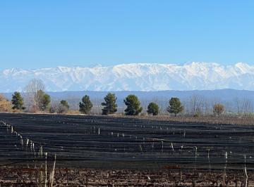 Campo , Ugarteche · Ugarteche - Finca Productiva