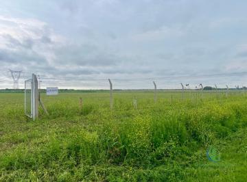 Terreno · 15000m² · Venta - Lote Industrial - Ubicado en "Parque Industrual Toledo". Oportunidad!