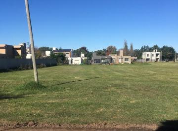 Terreno · 552m² · Terreno en Ricardone (Calle Gollan)