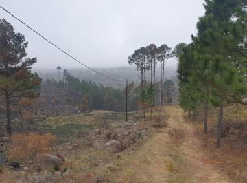 Terreno · 725539968ha · Campo en Yacanto Calamuchita