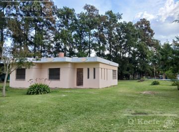Quinta vacacional · 88m² · 3 Ambientes · Quinta en Abasto Calle 496 Nro 7143 Entre 229 y 231