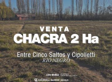 Campo · 22500m² · Chacra en Cinco Saltos