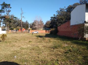 Terreno · 364m² · Latorre Prop. Vende Lote Baldio en Las Dalias