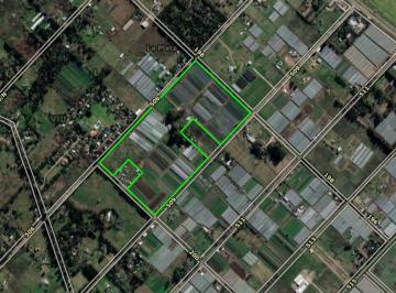 Campo · 159221m² · Campo en Venta - 16 Hectáreas - Abasto