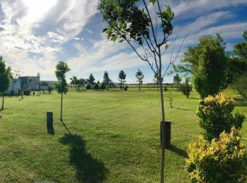 Terreno · 1500m² · Terreno en Venta - 1500 m² - Campos de La Enriqueta, La Plata