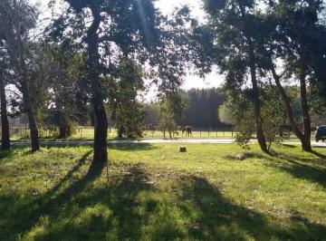 Terreno · 594m² · Terreno en Venta - 594 m² Totales - Camino del Jagüel, Santa Teresita