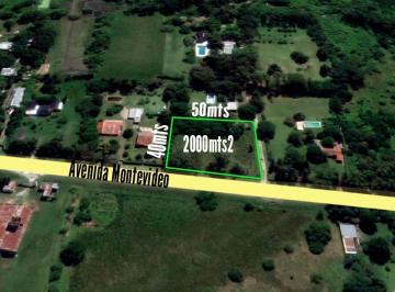 Terreno · 2000m² · Terreno en Venta - 2000 m² - Berisso