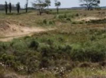 Terreno · 2500m² · Terreno en Venta - 2500 m² - El Salvaje, Mar de Las Pampas