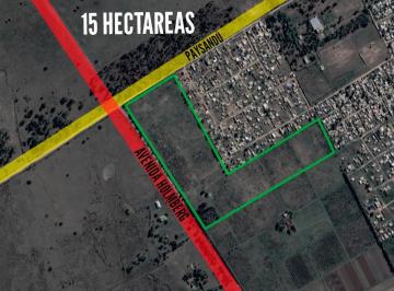 Terreno · 150765m² · Terreno en Venta - 15 Hectáreas - Florencio Varela