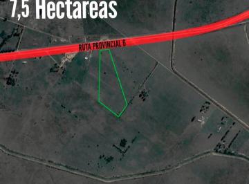Campo · 75000m² · Campo en Venta - 7.5 Hectáreas - San Vicente