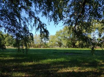 Terreno · 4216m² · Terreno en Venta - 4.216 m² - Cañuelas
