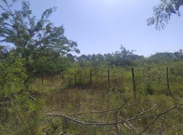Terreno · 10000m² · Terreno en Venta - 10.000 m² - El Remanso, Exaltación de La Cruz