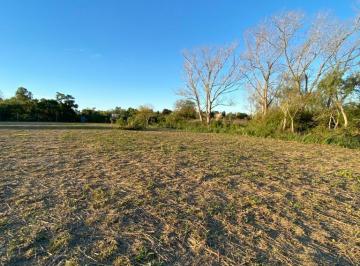 Terreno · 2428m² · Terreno en Venta - 2.428 m² - Los Talas, Berisso