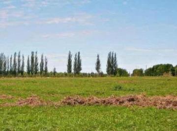 Terreno · 1035m² · Terreno en Venta - 1.035 m² - Junín