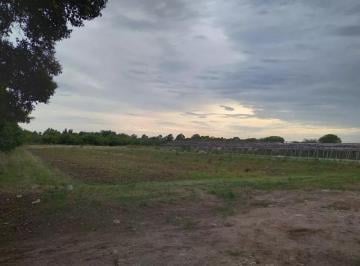 Campo · 132434m² · Campo en Venta - 132.434 m² - Florencio Varela