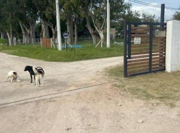 Terreno · 1294m² · Terreno en Venta - 1294 m² - Arana