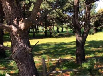 Terreno · 2586m² · Terreno en Venta - 2.586 m² - Chapadmalal