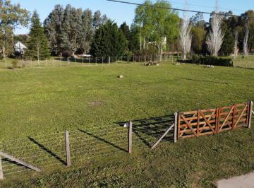 Terreno · 1616m² · Terreno en Venta - 1.616 m² - Lobos