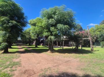 Local comercial · 285m² · 4 Ambientes · 2 Cocheras · Local Comercial en Venta - Depósito - 1.300 m² - Carlos Spegazzini