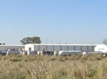 Depósito · 220m² · 2 Ambientes · Depósito en Venta - 2 Baños - 10.144 m² - Pilar