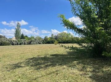 Terreno · 2149m² · Terreno en Venta - 2149 m² - Lobos