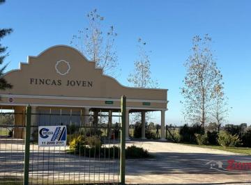 Terreno · 652m² · Terreno en Fincas Joven