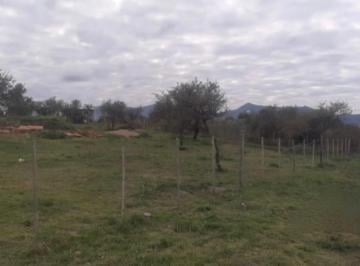 Terreno , Santa Rosa de Calamuchita · Lote en Venta en Quinto Loteo – Santa Rosa de Calamuchita, Córdoba