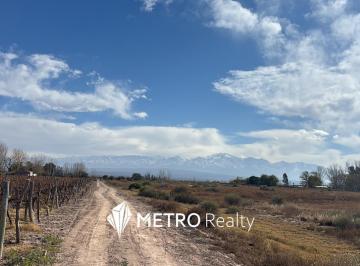 Campo · Finca en Venta en Lujan de Cuyo, Ugarteche