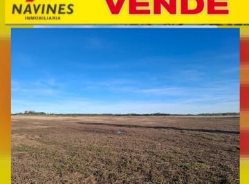 Campo , San Pedro · Campo en Venta