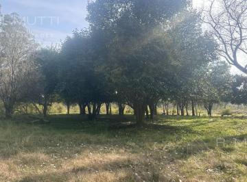 Quinta vacacional · 120m² · 6 Ambientes · Terreno/ Fracción de 22.208 m² en Francisco Alvarez