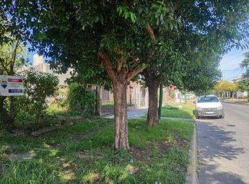 Terreno · 242m² · Tres Lotes Juntos o Separados