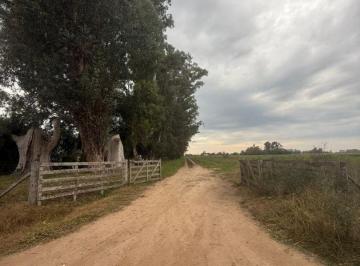 MBO-MBO-338_2 · Campo en Venta 27ha