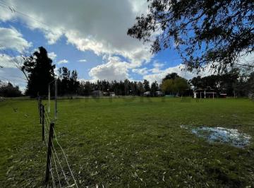 Terreno · 1000m² · Terreno en Venta en El Rodeo