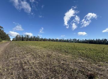 Campo · 250m² · 7 Ambientes · Campo en Barrio Batan