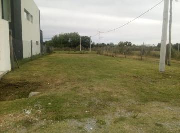 Terreno , La Plata · Terreno de 10x30 en Barrio Terranova (131 y 625)
