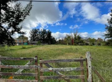 Terreno · Terreno en Venta, Barrio El Rodeo