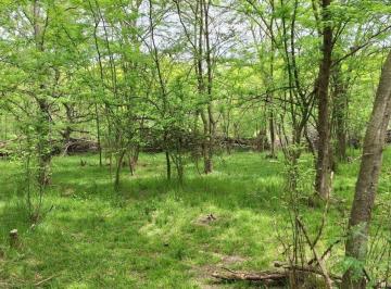 Campo · 1ha · Hectarea de Campo en Marcos Paz