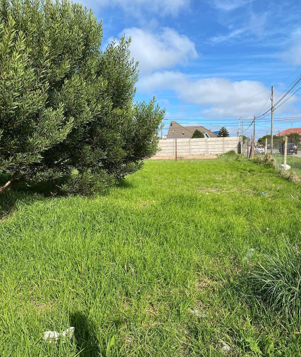 Excelente oportunidad en Punta Mogotes: lote de 580m²