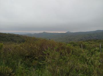 Foto · Importante Predio de 981 Has en Falda del Carmen.