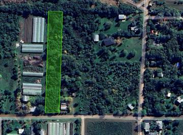 Terreno · 5000m² · Terreno Zona Termas San José