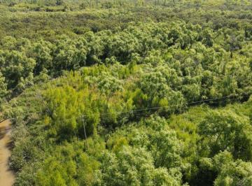Terreno · 83586m² · Tigre Delta 8ha