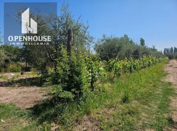 Campo , Maipú · Finca en Venta Maipu