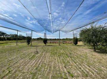 Terreno , Junín · Lotes en Junín